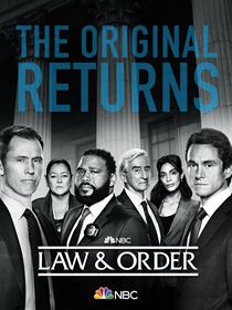 New York District / New York Police Judiciaire saison 22